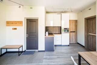 Апартаменты Central Park Apartments Львов Апартаменты с 1 спальней-12